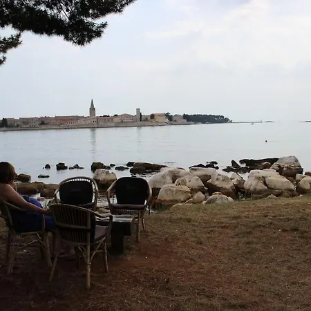 Apartment Modern In *