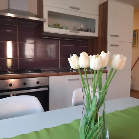 Modern In פורץ