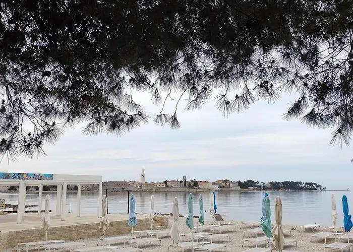 Apartamento Modern In