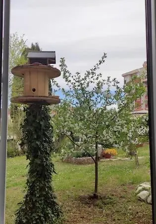 Apartmán Modern In Poreč